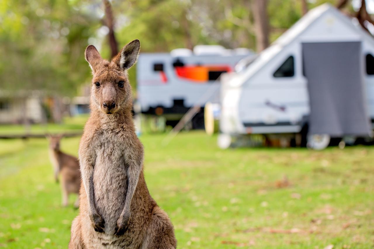 Tasman Holiday Parks - Kioloa Beach Bagian luar foto